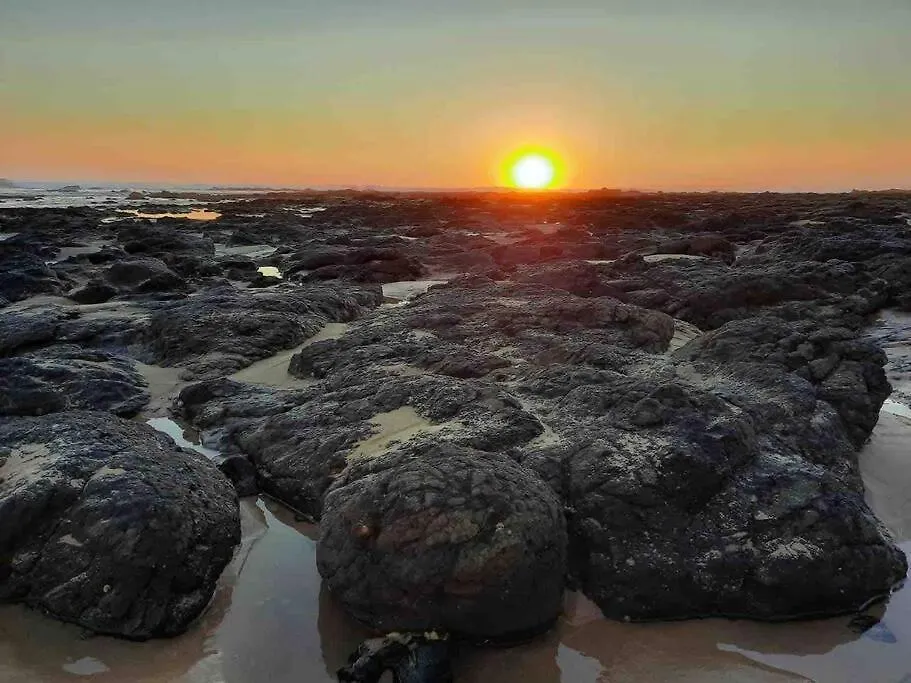 Surfside Escape
