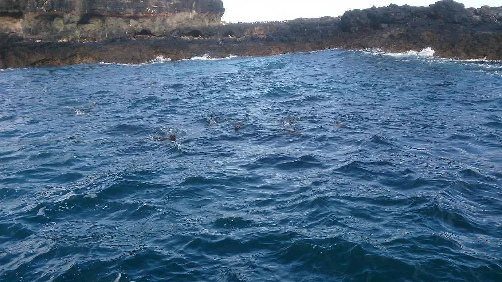 Phillip Island Cowes