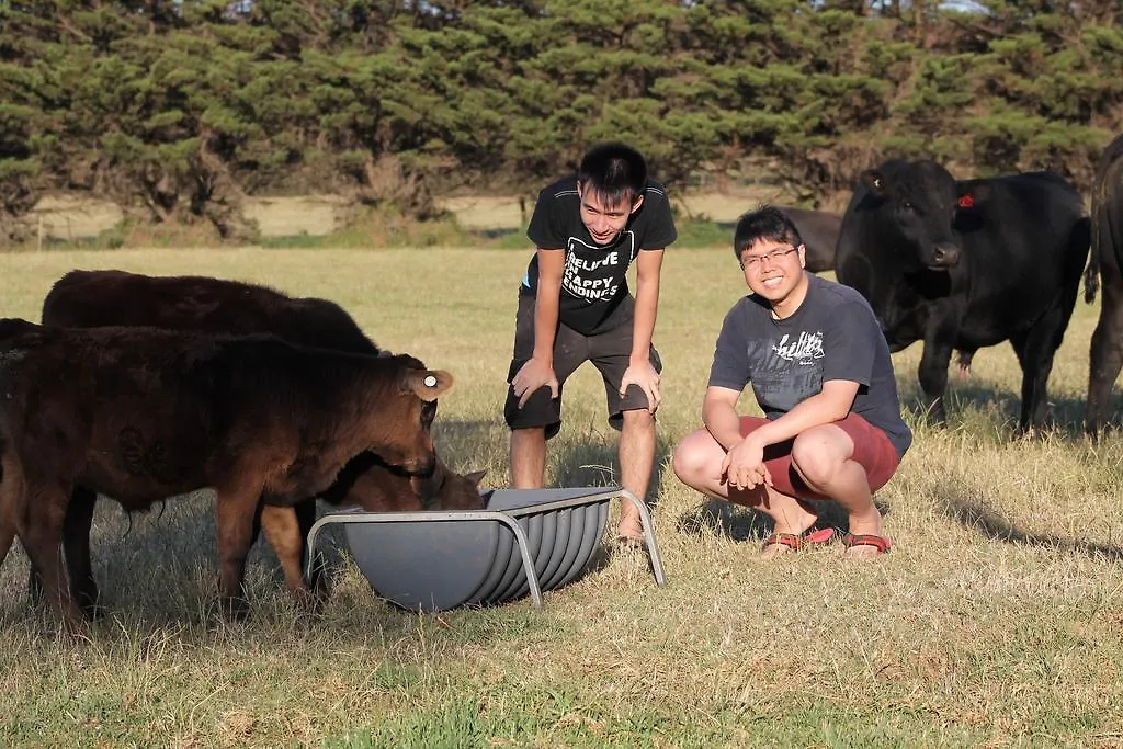 Bimbadeen Phillip Island Farm Retreats Ventnor