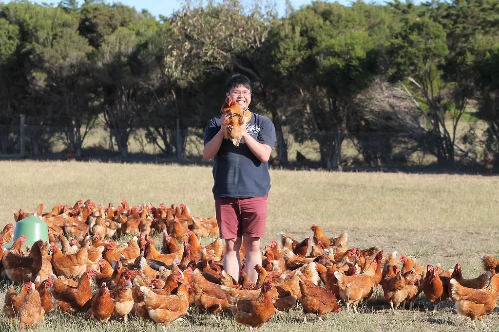 Farm stay Bimbadeen Phillip Island Farm Retreats *