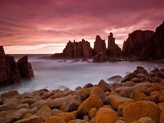 The Island