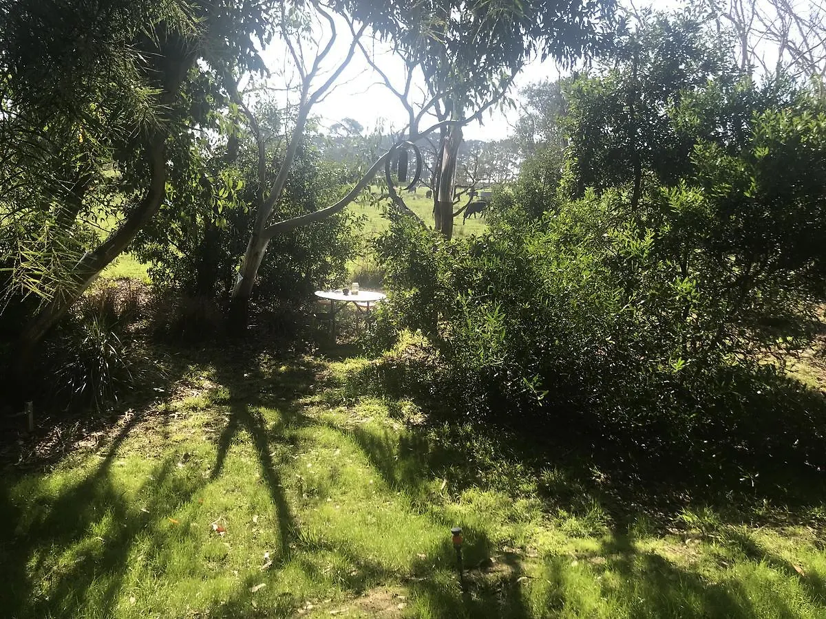 The Nature