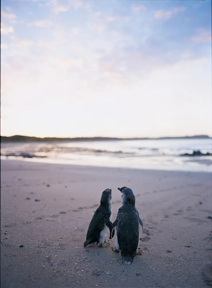 Aparthotel Phillip Island 4*