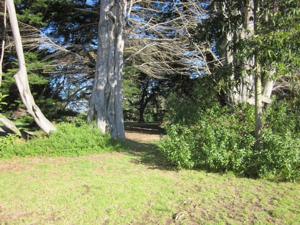 14 Mclardy Courtes * Cowes