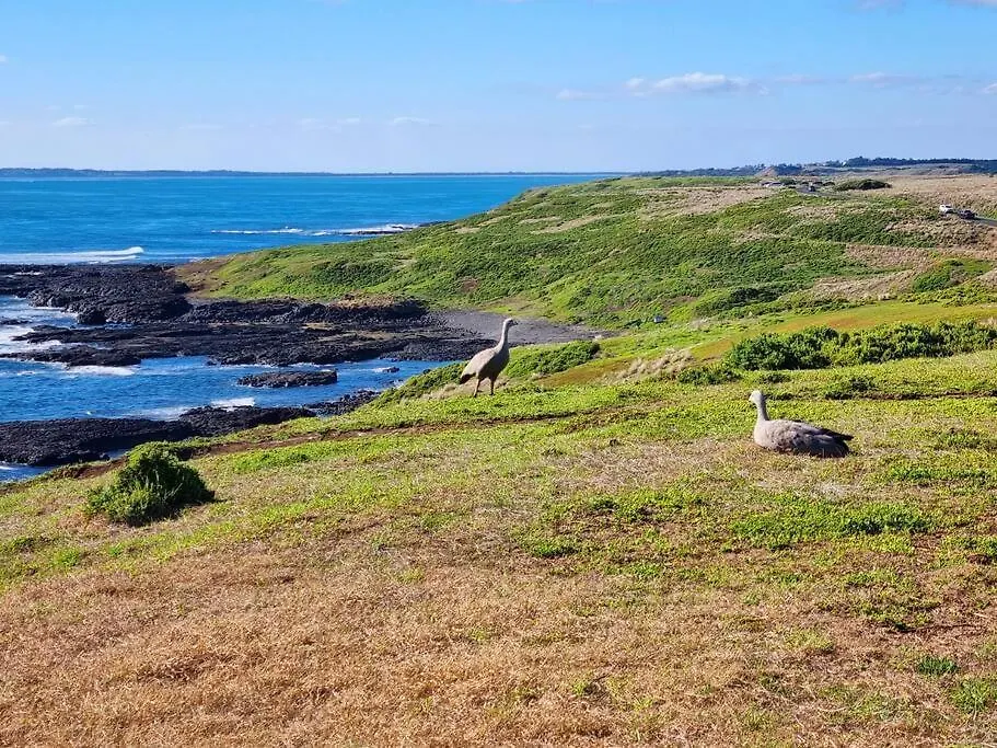 Blue Bay View Surf & Sauna