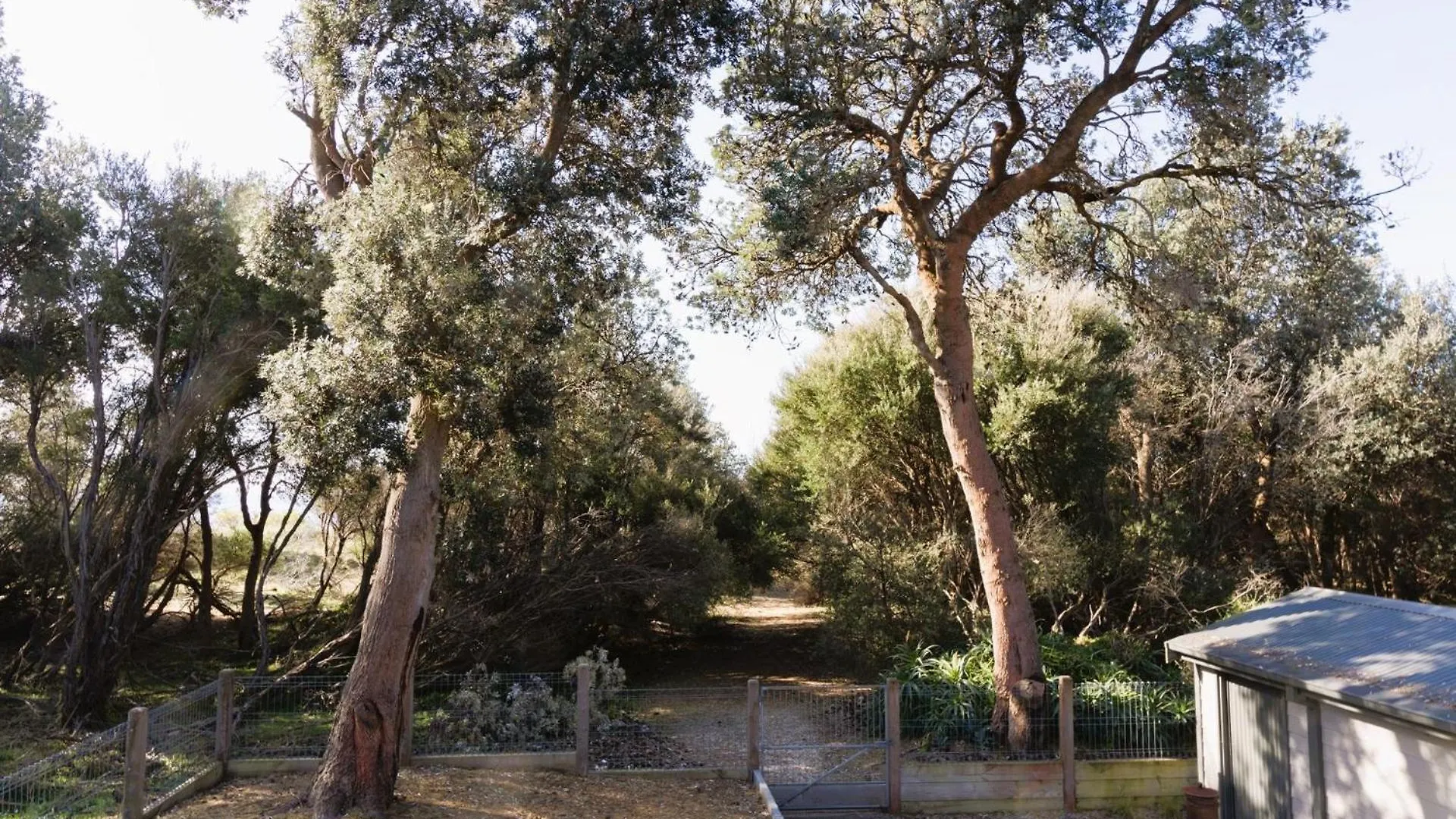 Silverleaves Retreat