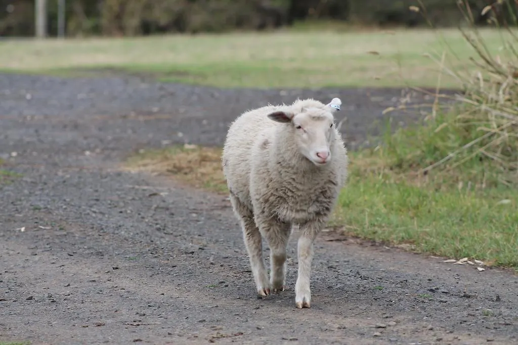 Bimbadeen Phillip Island Farm Retreats *
