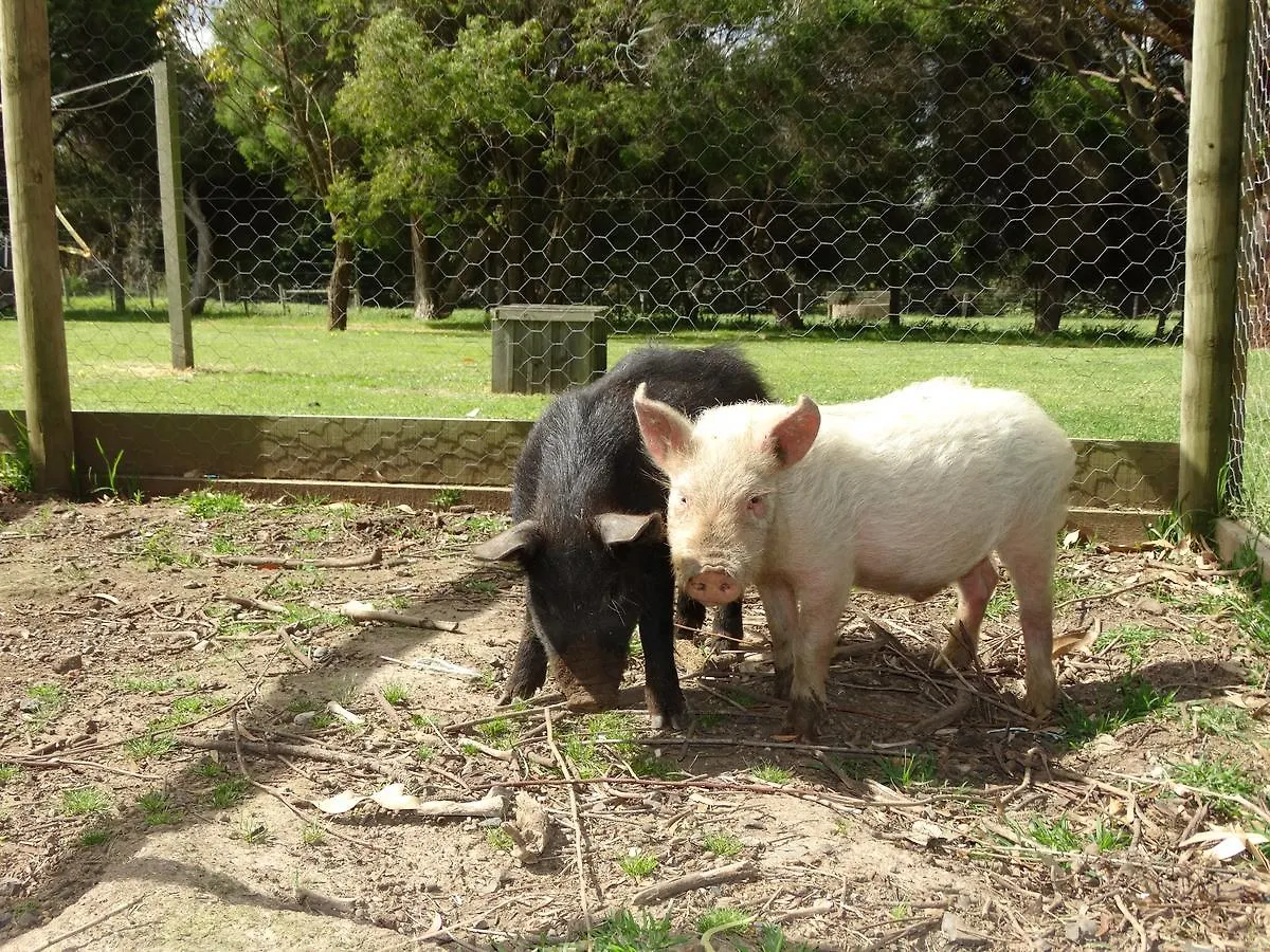 Çiftlik konaklama Ripples N Tonic Farmstay *